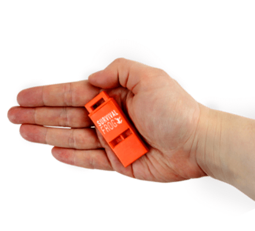 Whistle