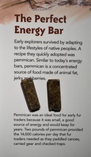 Pemmican Perfect Energy Bar E1529094517180
