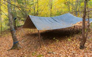 Shelter-Options-Pros-Cons