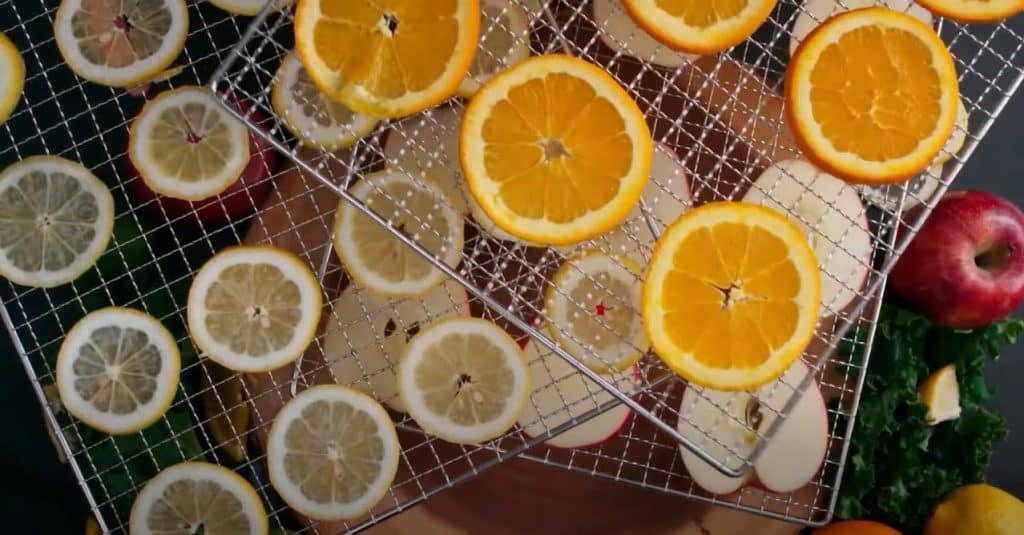 Types Of Food To Dehydrate