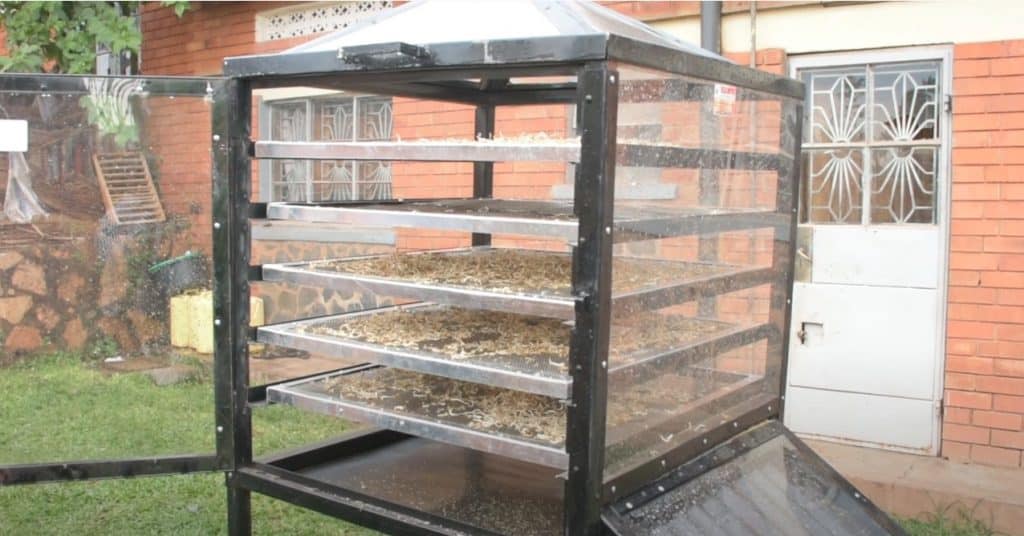 Methods Of Food Dehydration