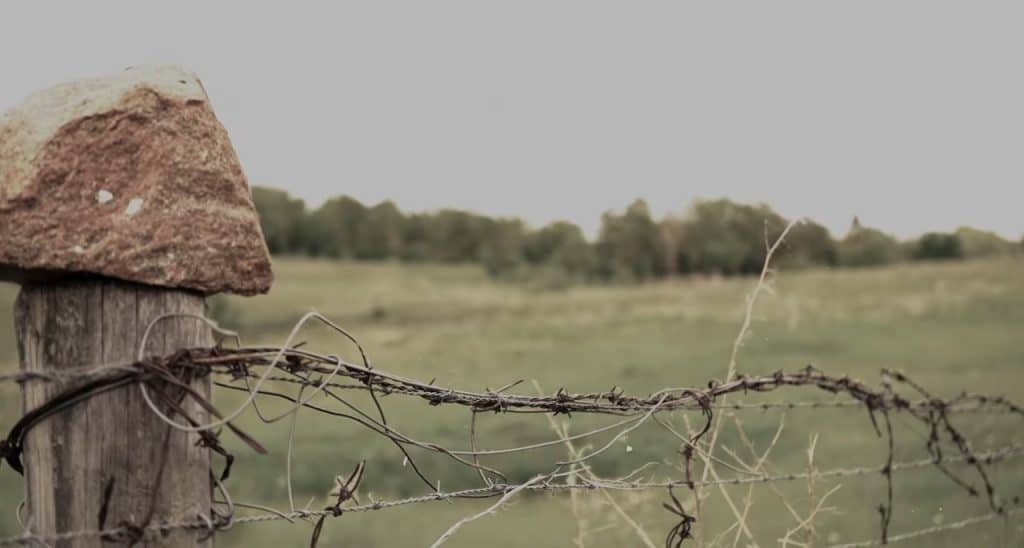Traps To Defend Your Property