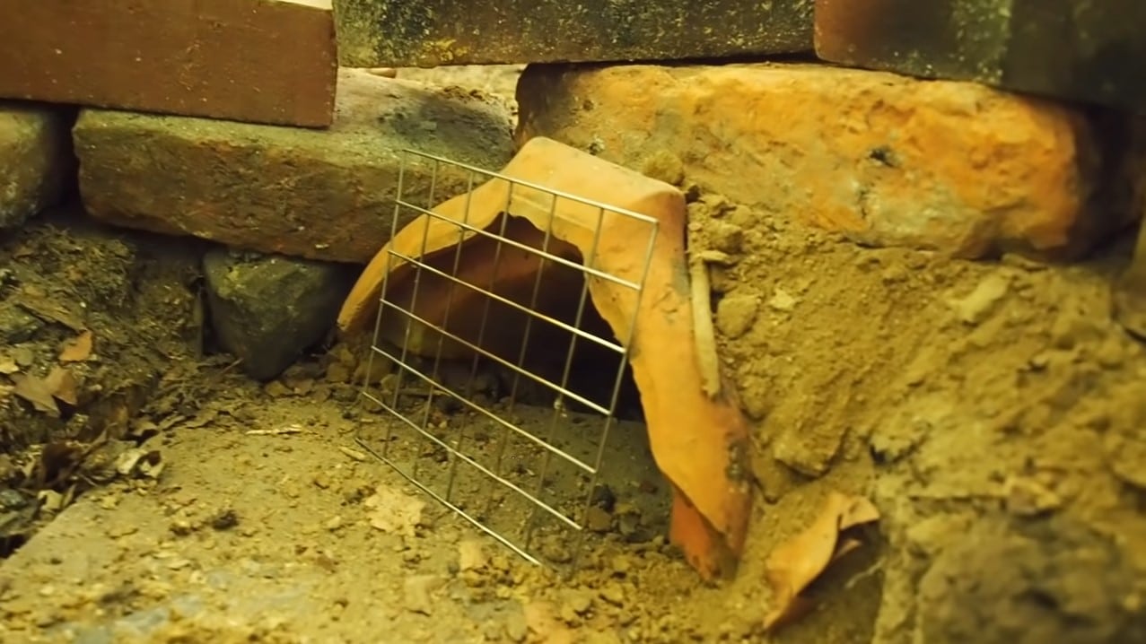 Why You Might Need A Smokeless Fire Pit