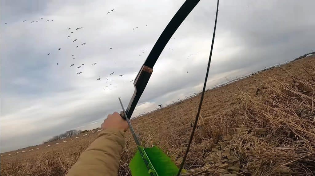 Top Best Survival Bow: Why Do You Need To Purchase A Bow And Arrow?