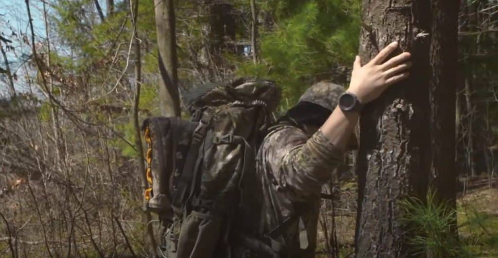 A Survival Watch: In A Nutshell