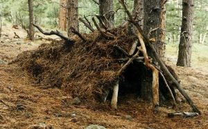 Shelter