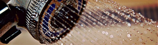 Shower Head