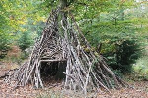 Survival Shelter