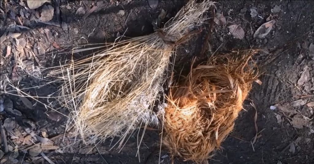 Make An Extremely Flammable Tinder