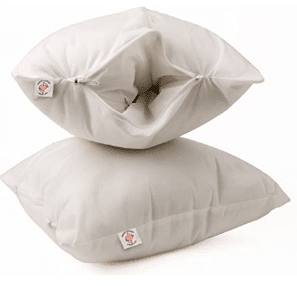 Throw Pillow Safe