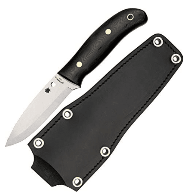 Spyderco Blade