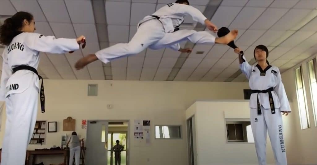 Top Best Various Martial Arts: Concept