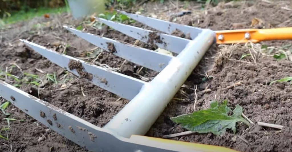 What Is A Broad Fork?