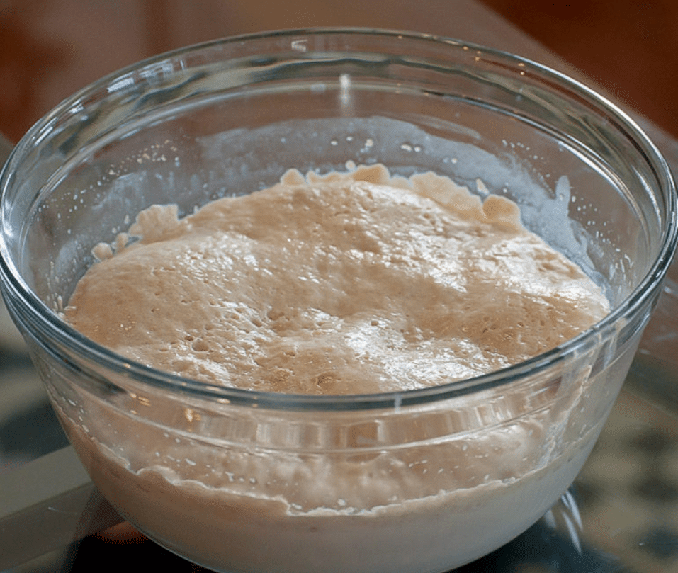 Yeast-Amuseinmykitchen