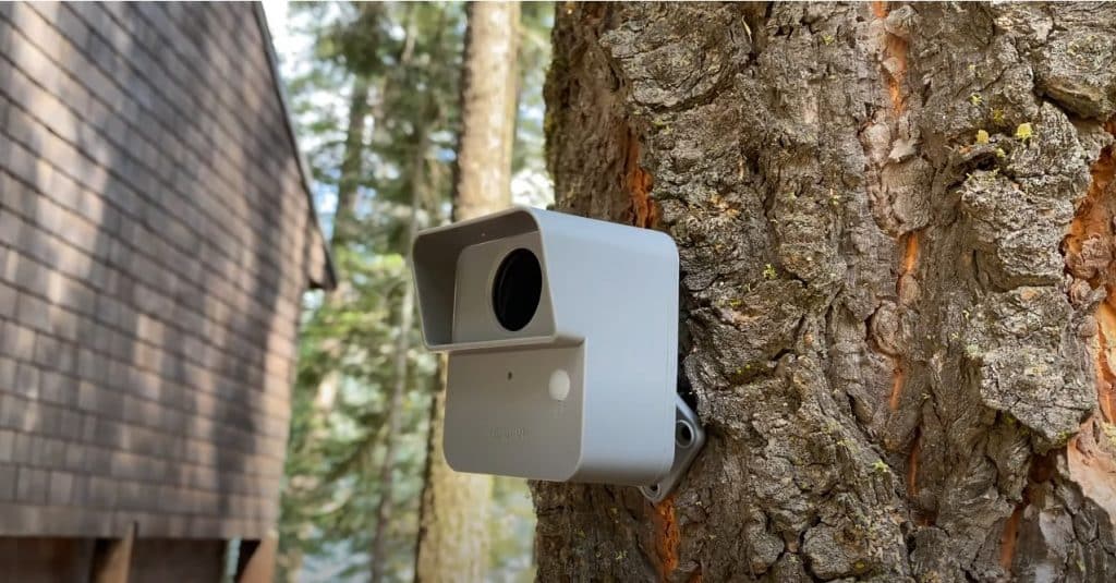 Motion Detectors