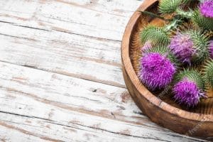 Milk-Thistle-With-Flowers