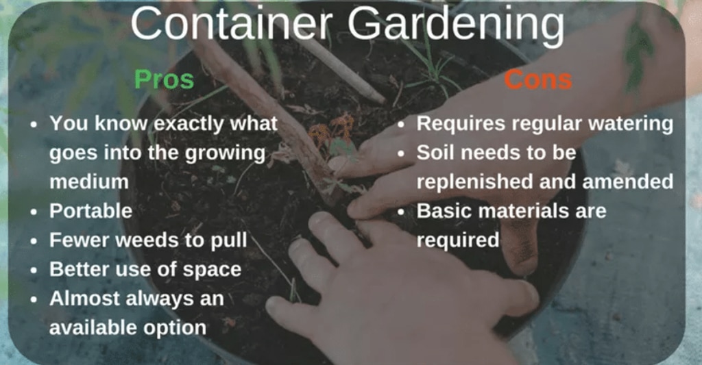 Disadvantages Of 5-Gallon Bucket Gardening