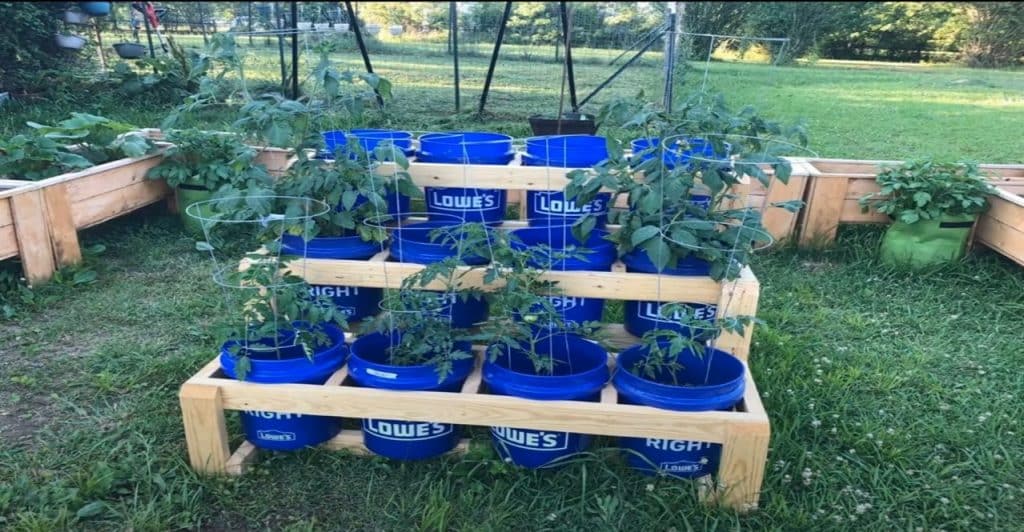 Containers: What Are They Good For?