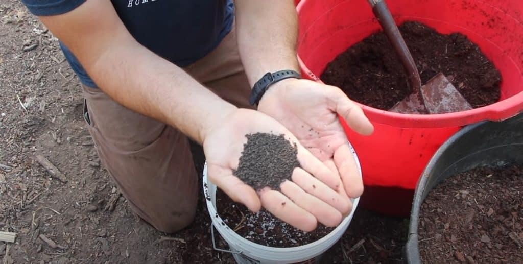 The Soilless Method