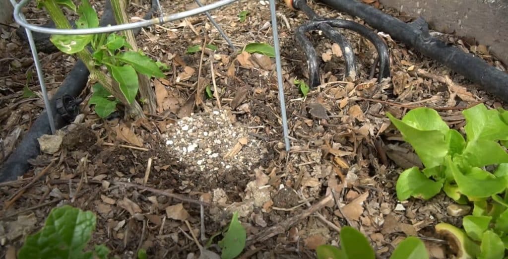 Bark-Mulch-Min