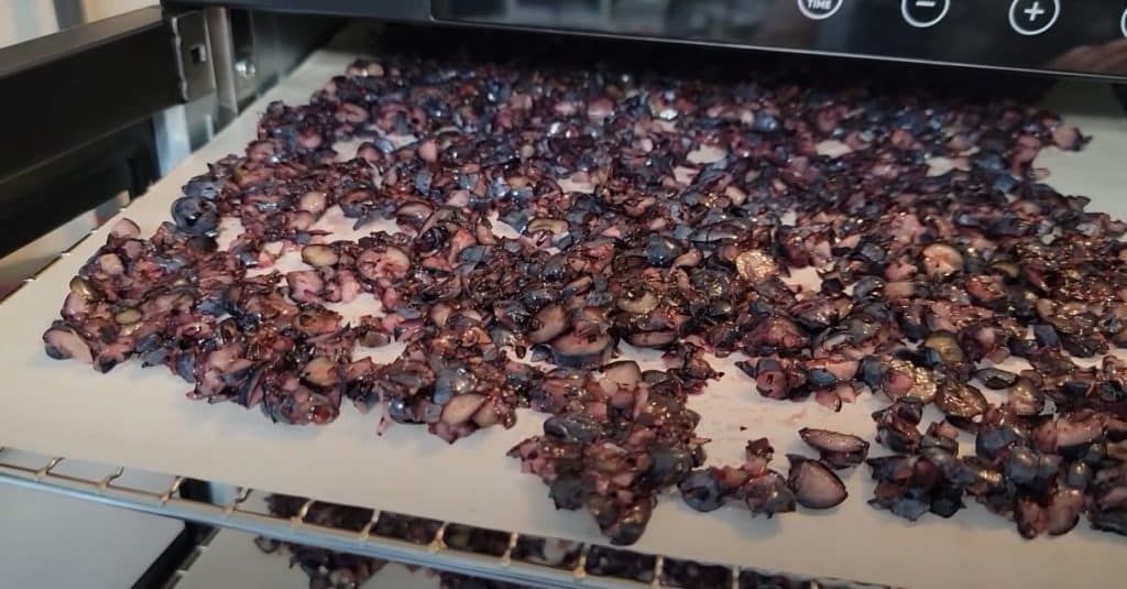 Dried Food