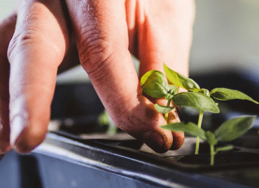 Gardening-And-Yard-Care