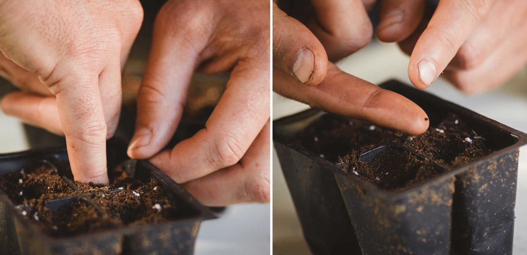 Planting-And-Prep