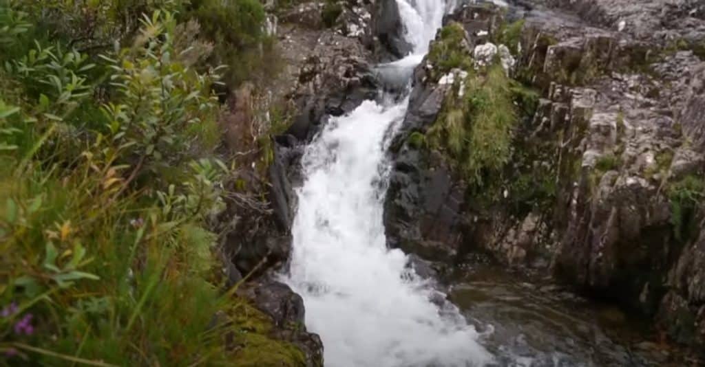 Identify The Source Of Water