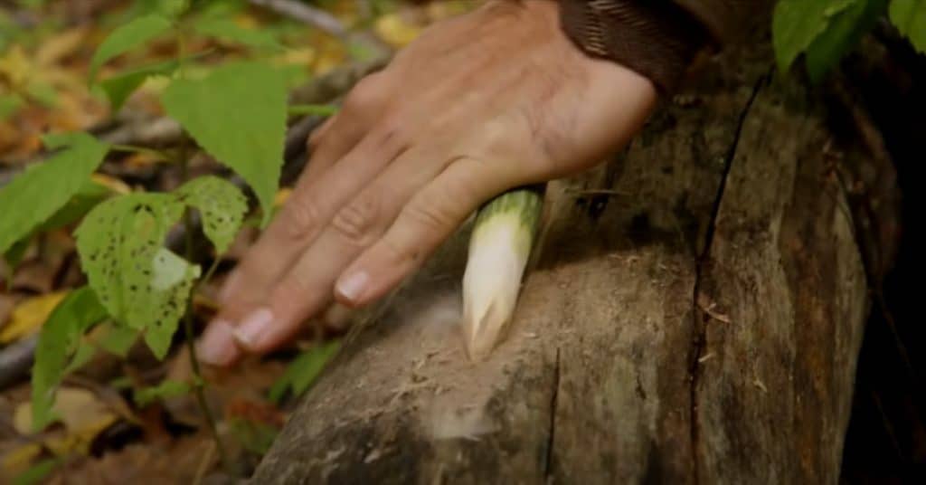 Spear-Sharpening