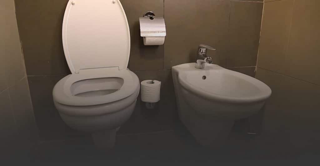 Why And How To Use Toilet Paper?