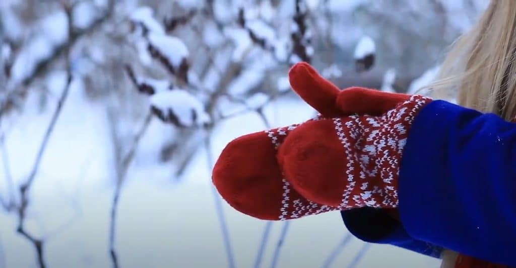 Foreword On Handwarmers